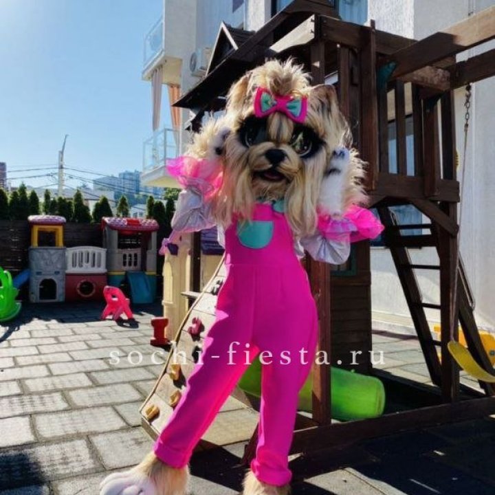 Аниматор Гламурная Собака в Нижнем Тагиле