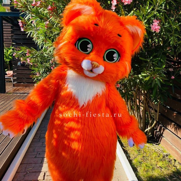 Аниматор Котик в Нижнем Тагиле