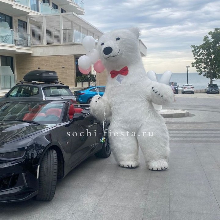 Аниматор Белый Медведь в Нижнем Тагиле