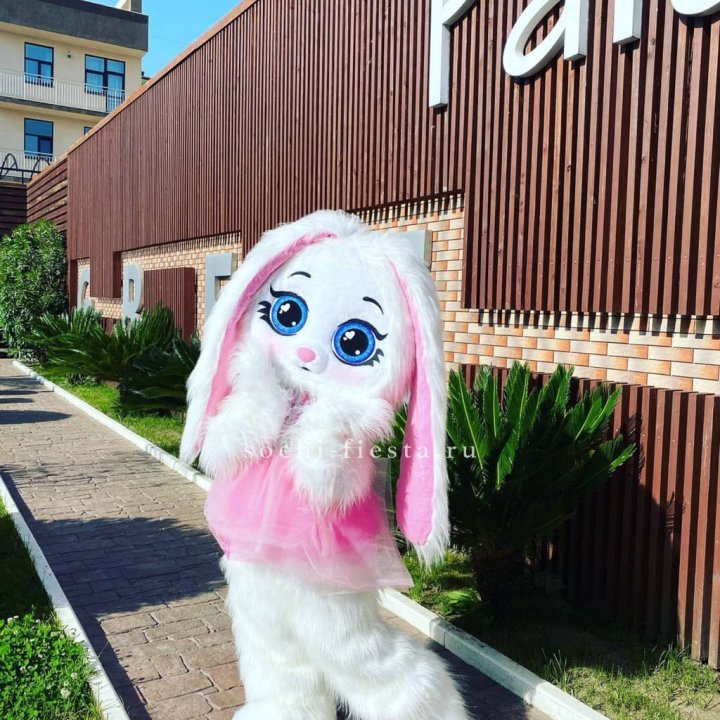 Аниматор Зайка в Нижнем Тагиле