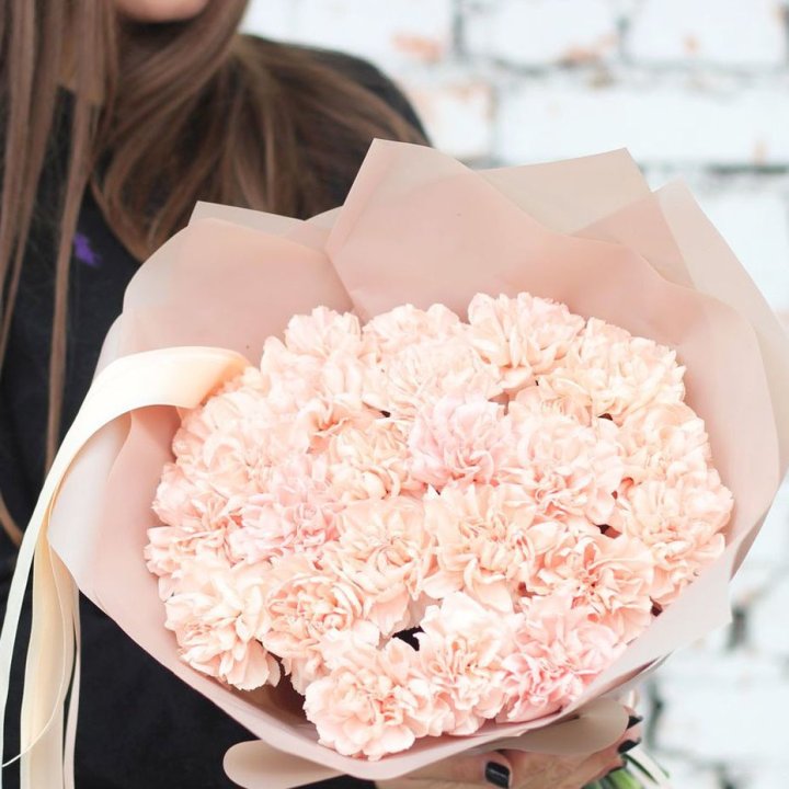 Диантусы №2 в Нижнем Тагиле