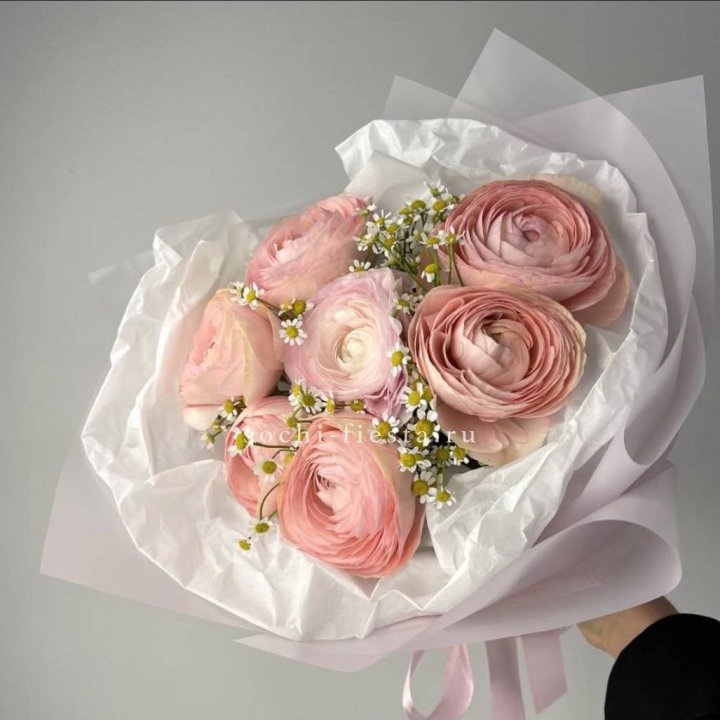 Ранункулюсы с ромашками в Нижнем Тагиле