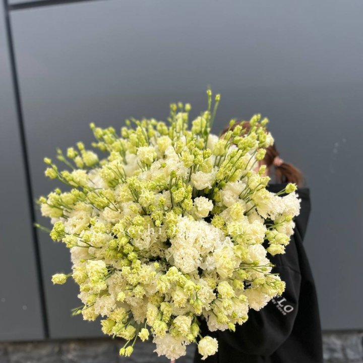 51 белая эустома в Нижнем Тагиле