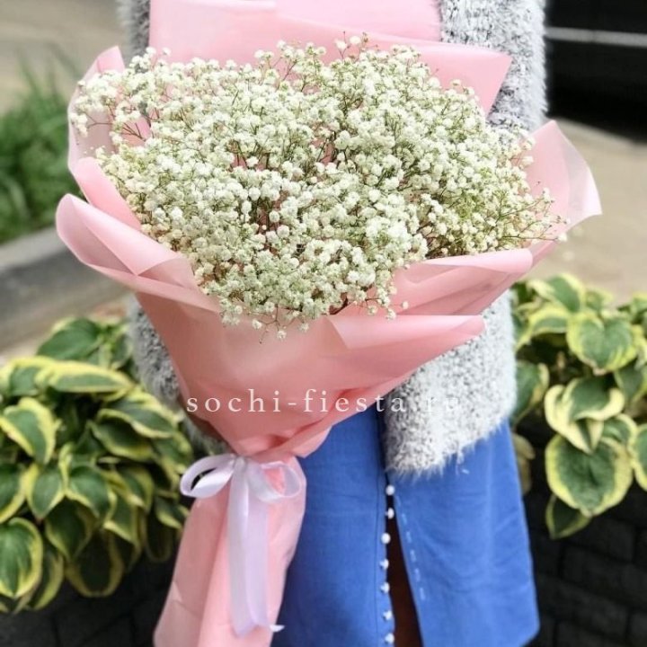 Белоснежные гипсофилы в Нижнем Тагиле