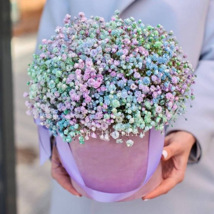 Гипсофилы в шляпной коробке "Кандилайт" в Нижнем Тагиле