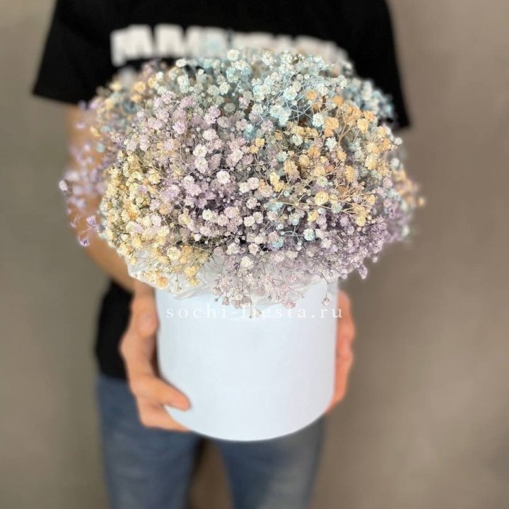 9 Радужных гипсофил в шляпной коробке в Нижнем Тагиле