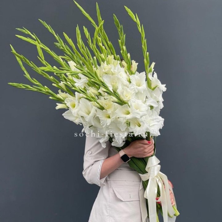 19 белых гладиолусов под ленту в Нижнем Тагиле