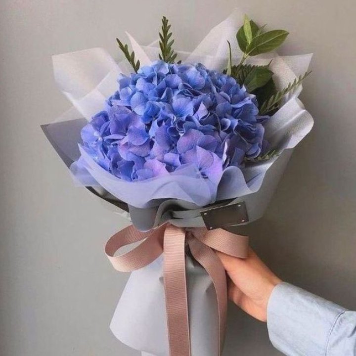 Гортензия голубая в Нижнем Тагиле