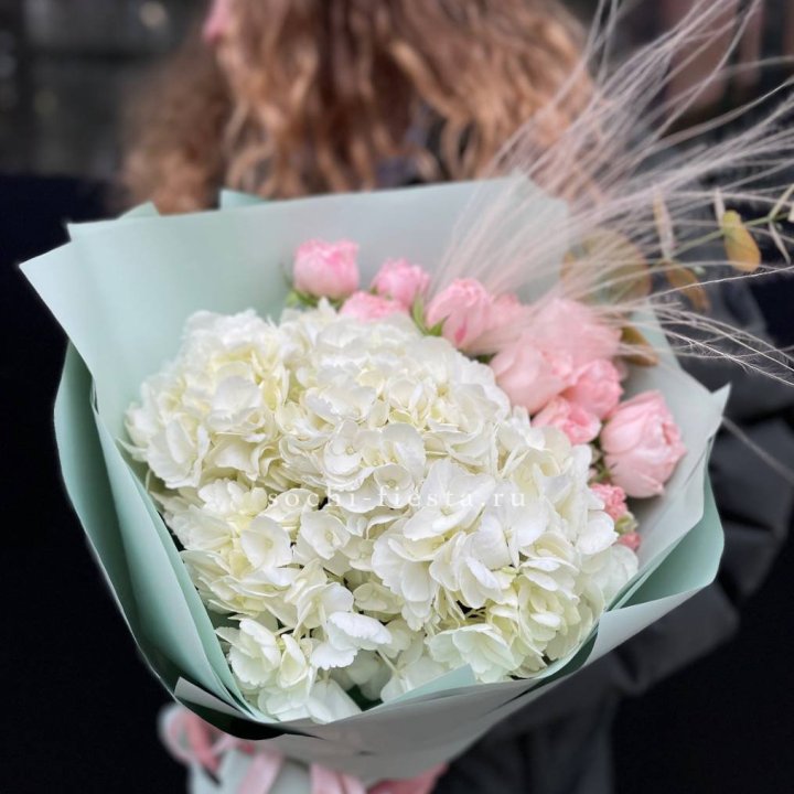 Гортензия "Жасмин" в Нижнем Тагиле