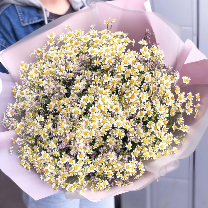 Букет ромашек №1 в Нижнем Тагиле