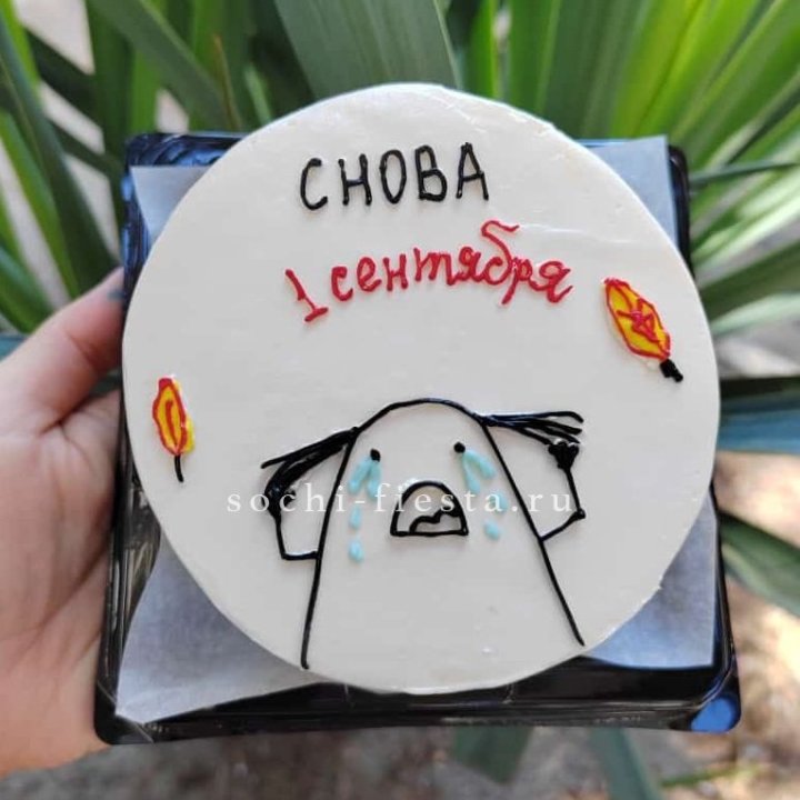 Бенто-торт "Не опять, а снова..." в Нижнем Тагиле