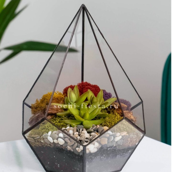 Флорариум Капля с суккулентом в Нижнем Тагиле
