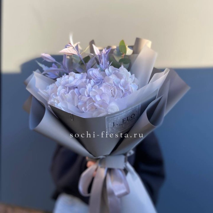 Гортензия "Виолета" в Нижнем Тагиле