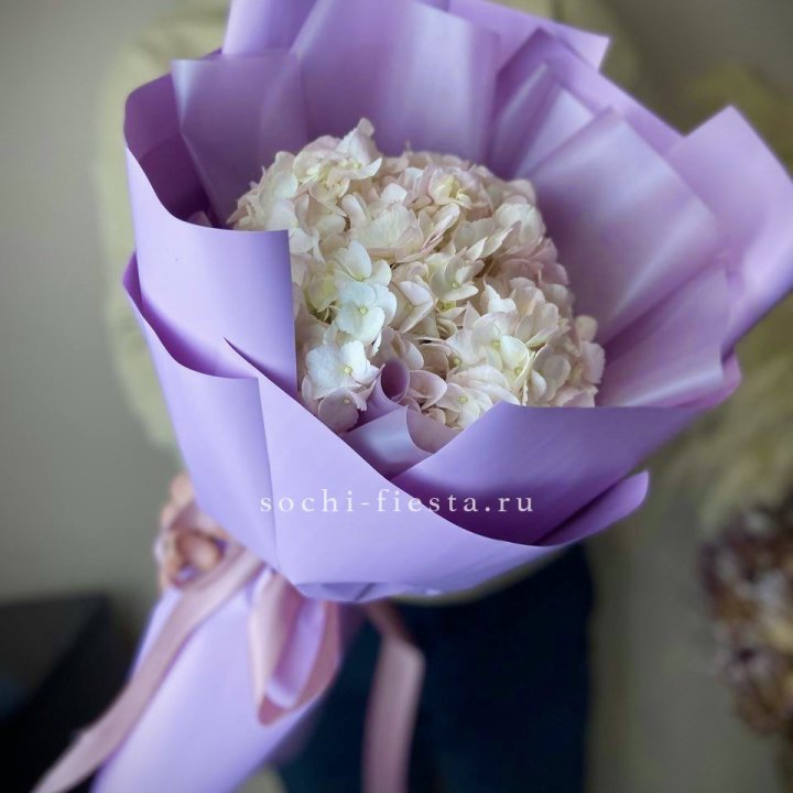 Гортензия розовая в Нижнем Тагиле