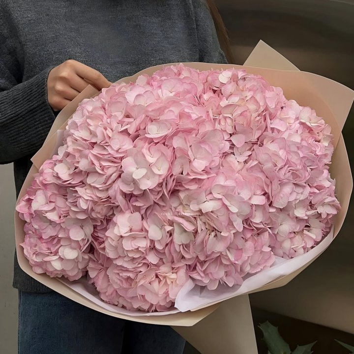 Гортензия  "РОЗЕ" в Нижнем Тагиле