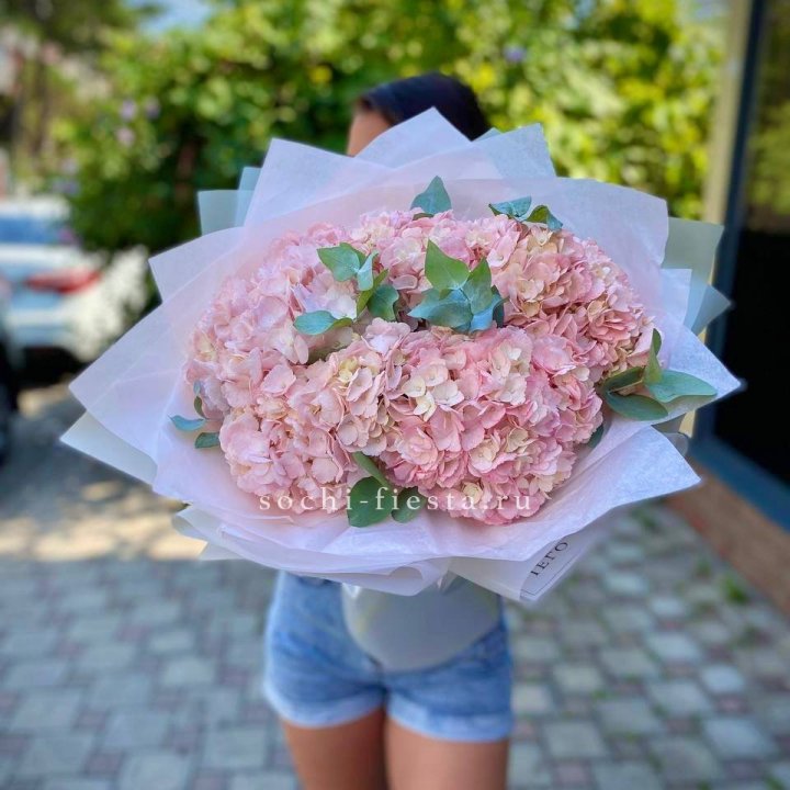 5 розовых гортензий  в Нижнем Тагиле