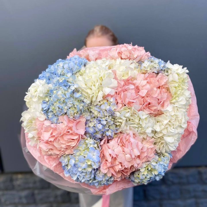 19 гортензий микс в Нижнем Тагиле