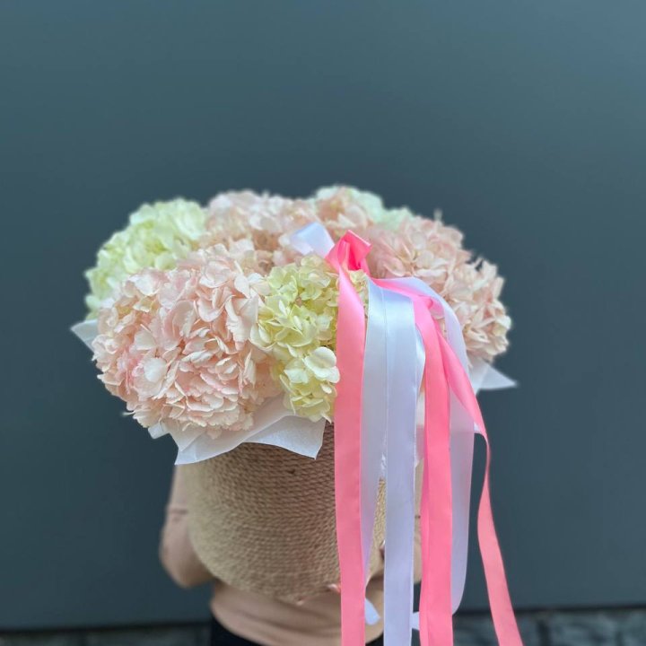 7 гортензий в кашпо в Нижнем Тагиле