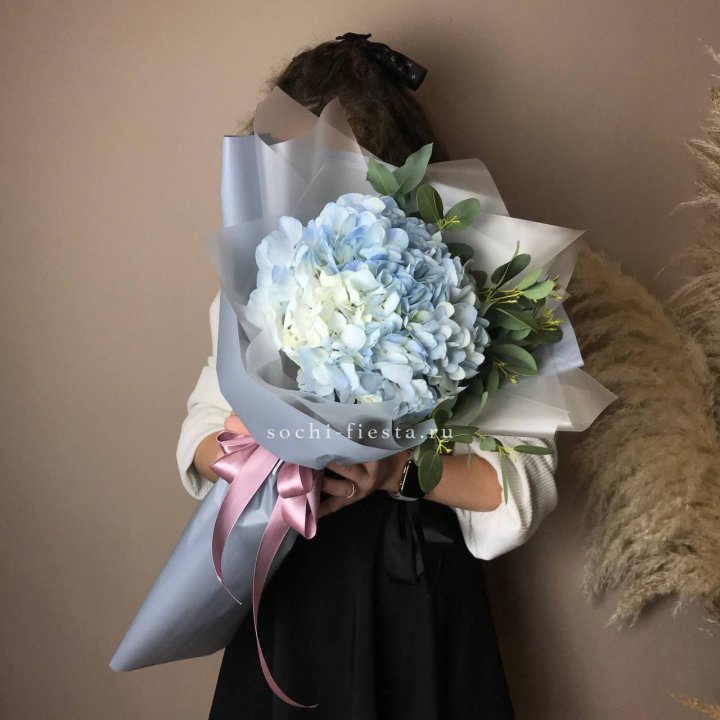 Гортензия Уно в Нижнем Тагиле