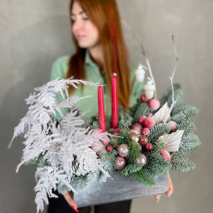 Бокс красный с нобилисом в Нижнем Тагиле