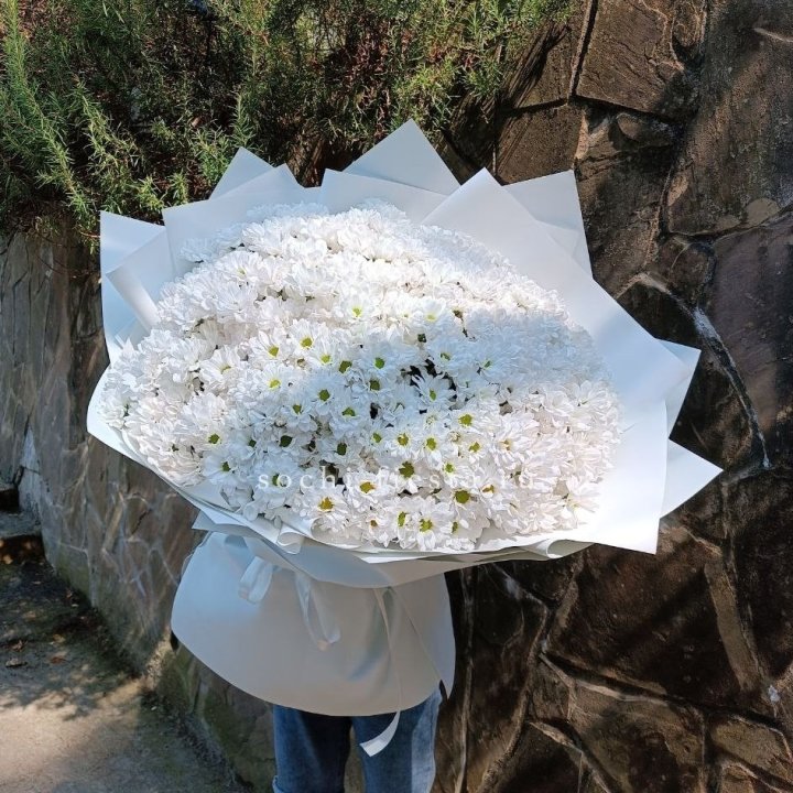 Облако хризантем №2 в Нижнем Тагиле