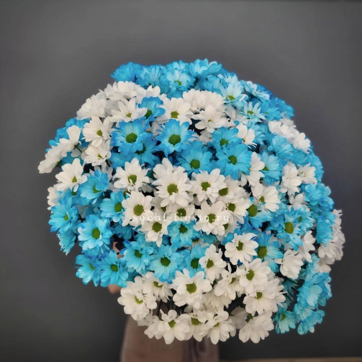  Букет хризантем микс в Нижнем Тагиле