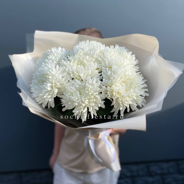 Профитроли в Нижнем Тагиле