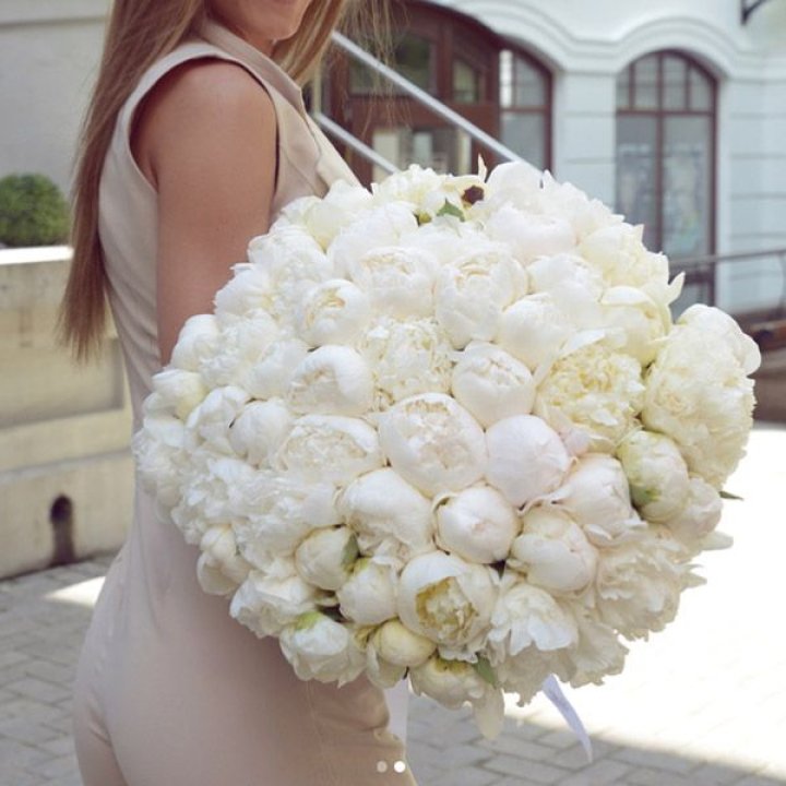 51 белый пион в Нижнем Тагиле