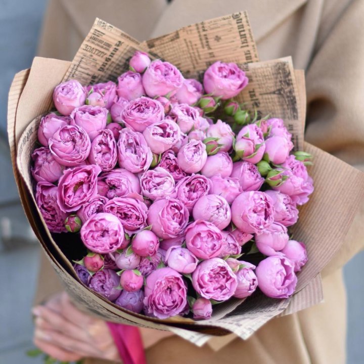 Роза Мисти Баблс в Нижнем Тагиле