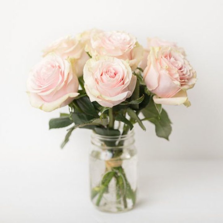 7 кремовых роз в Нижнем Тагиле