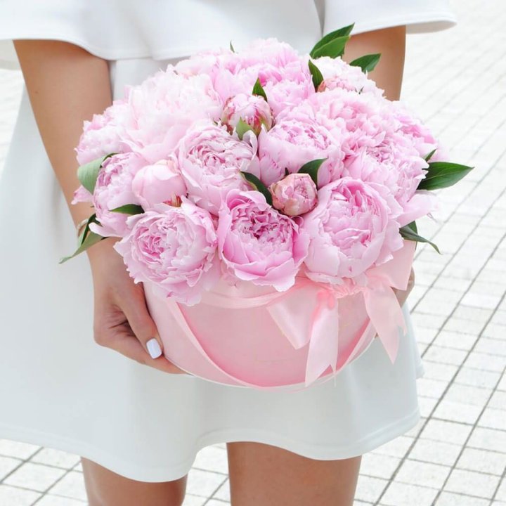 Пионы в шляпной коробке в Нижнем Тагиле