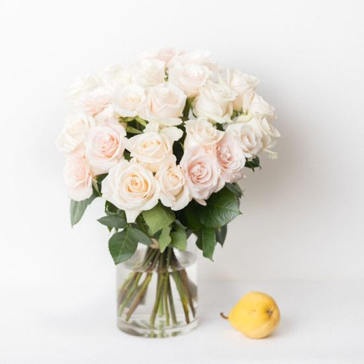 25 кремовых роз в Нижнем Тагиле