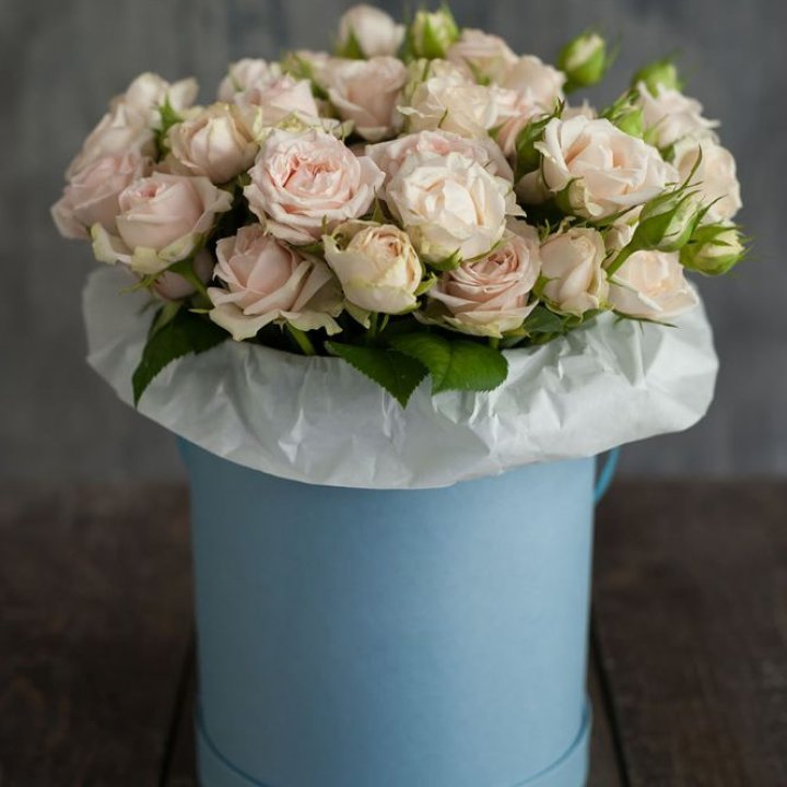 Бокс с бомбастиком в Нижнем Тагиле