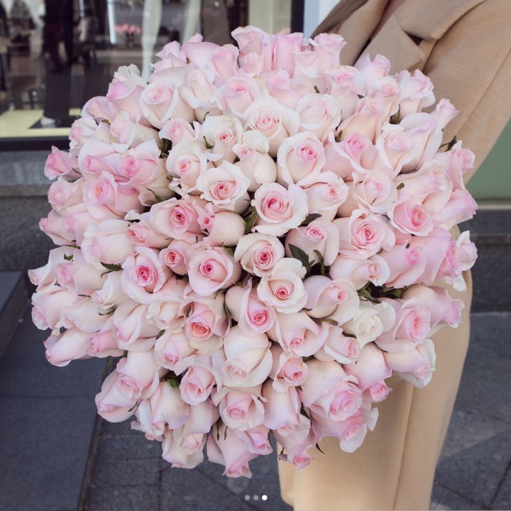 Розы "Пинк бум" в Нижнем Тагиле