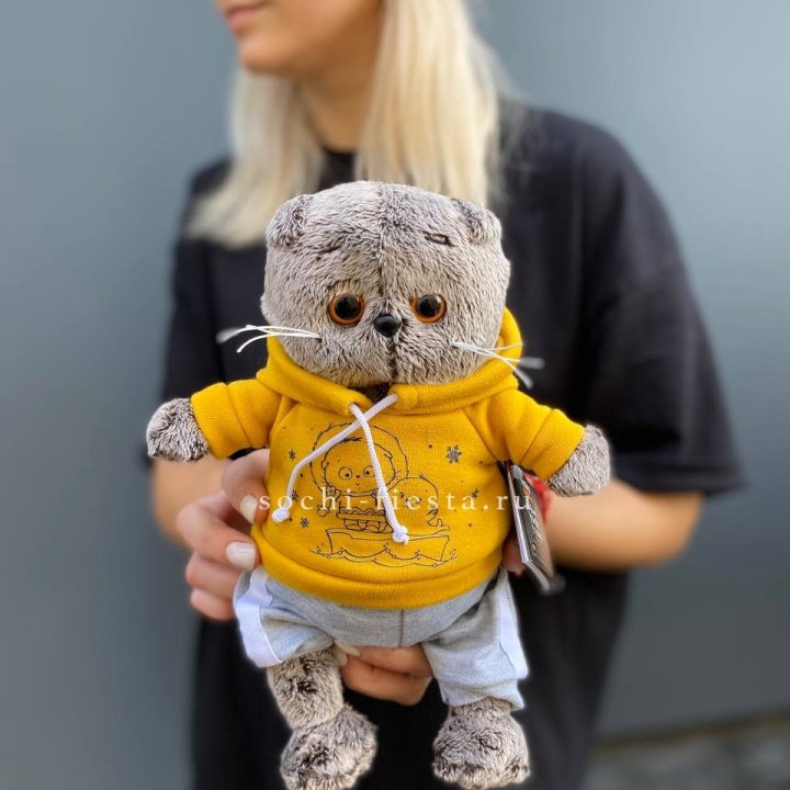 Кот Басик в худи в Нижнем Тагиле