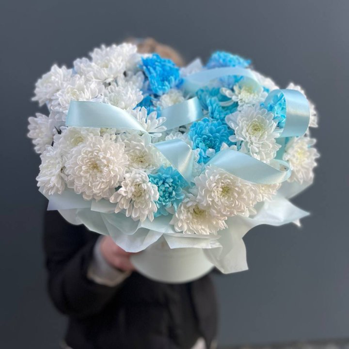 Хризнтемы в боксе в Нижнем Тагиле