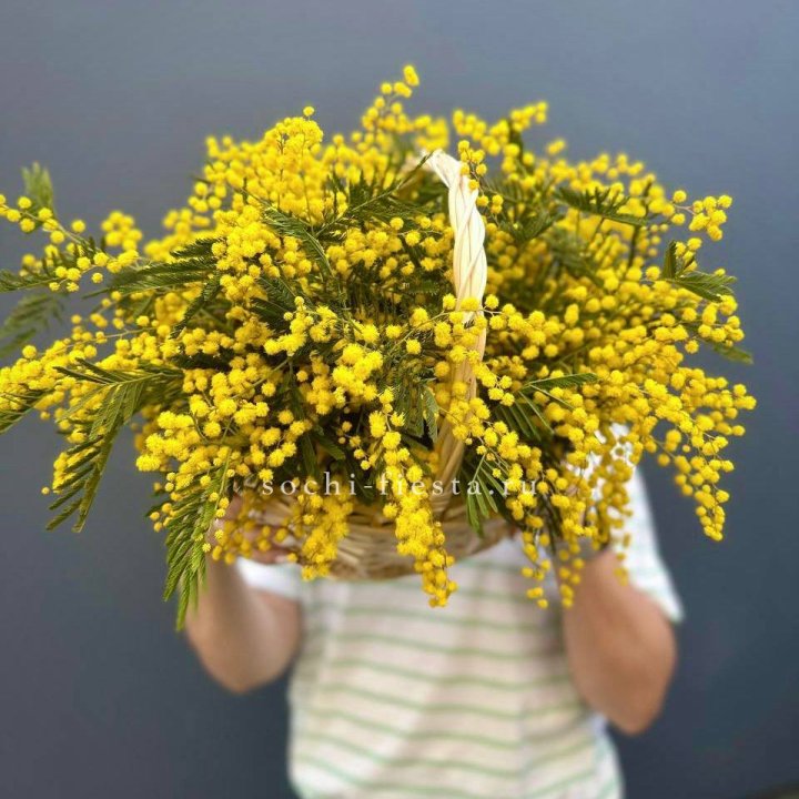 Весенняя корзина мимозы в Нижнем Тагиле