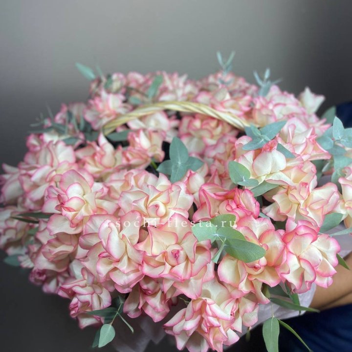 51 джумилия  в корзине   в Нижнем Тагиле