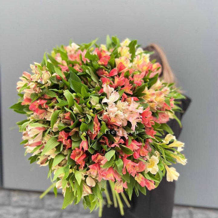 51 альстромерия в Нижнем Тагиле