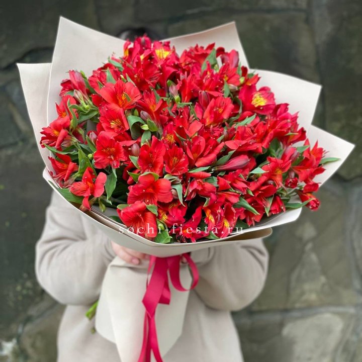 51 альстромерия в Нижнем Тагиле