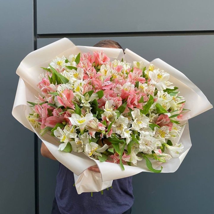 39 альстромерий в Нижнем Тагиле