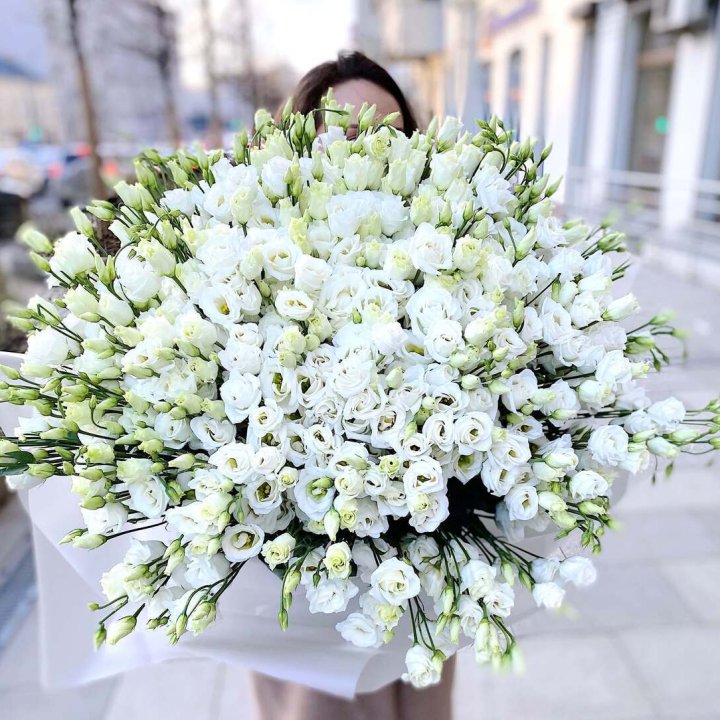 101 белая эустома в Нижнем Тагиле