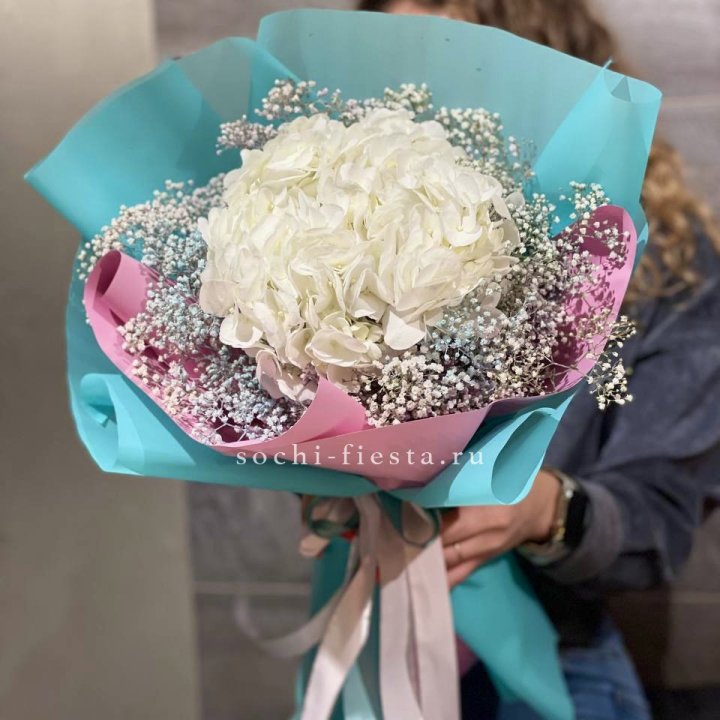 Гортензия "Райдов" в Нижнем Тагиле