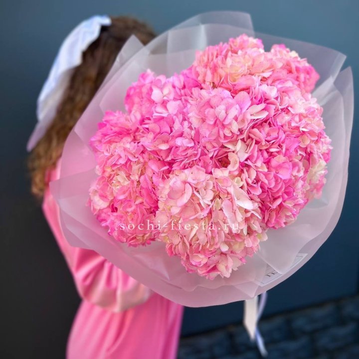 7 ярко розовых гортензий в Нижнем Тагиле