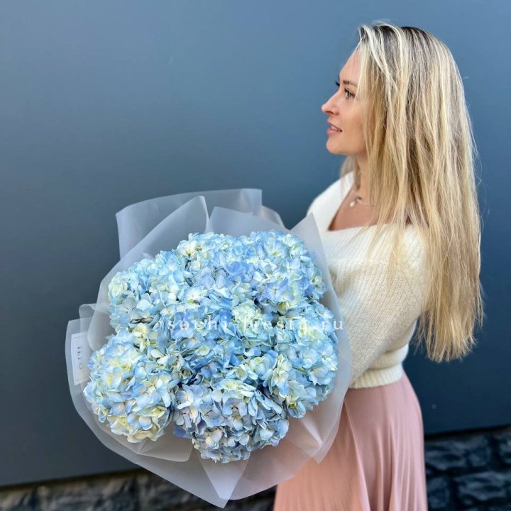 7 голубых гортензий в Нижнем Тагиле