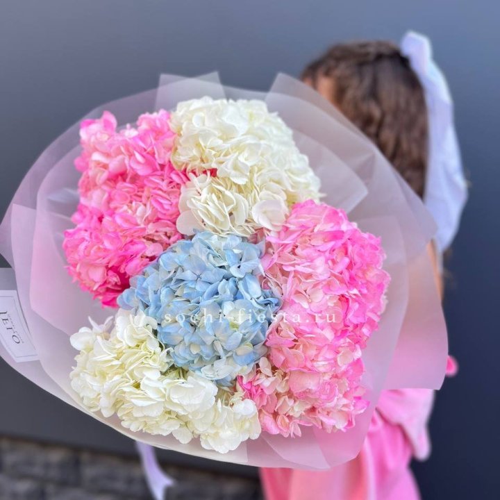 7 гортензий микс в Нижнем Тагиле