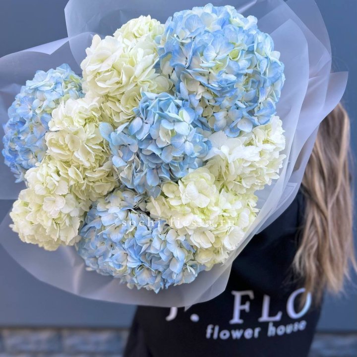 9 бело-голубых гортензий в Нижнем Тагиле