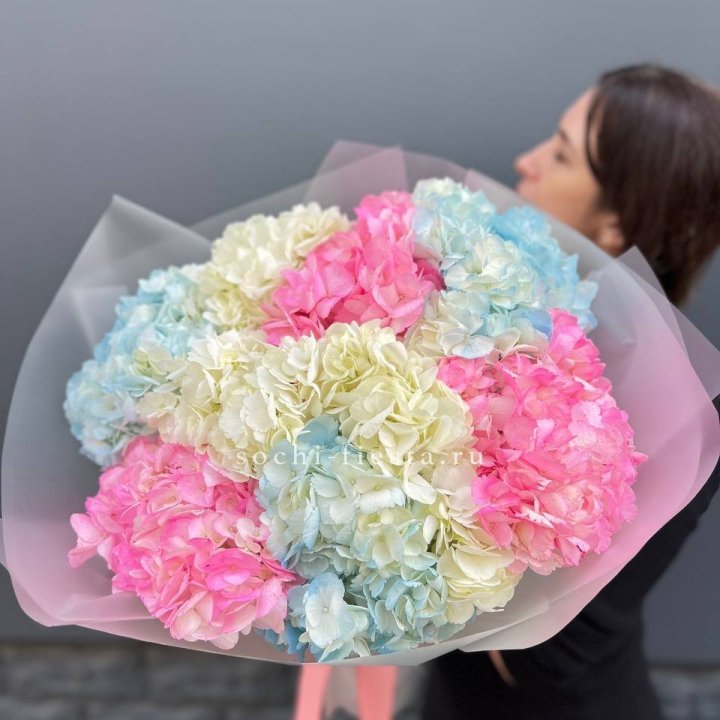 9 гортензий микс в Нижнем Тагиле