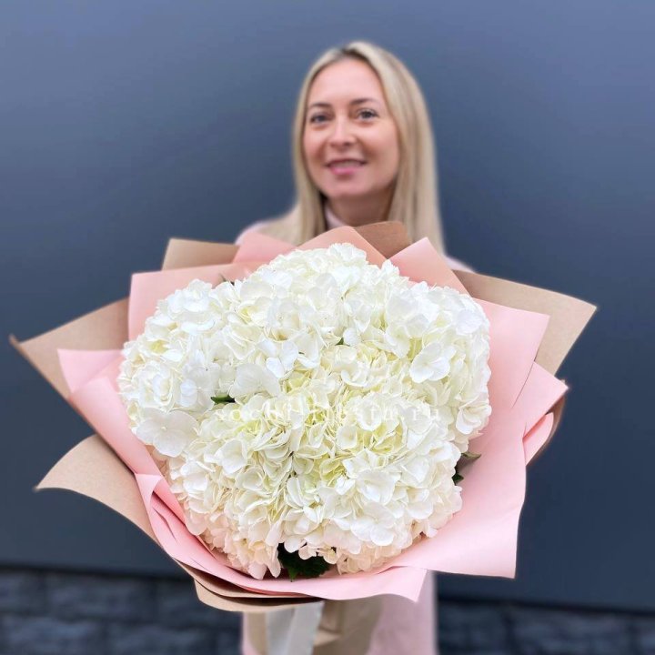 Гортензия белая в Нижнем Тагиле