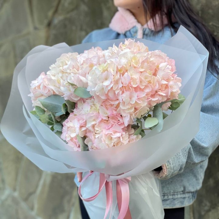 5 розовых гортензий в Нижнем Тагиле